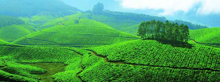 Munnar