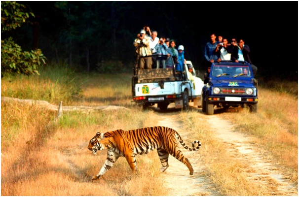 Jim Corbett national park