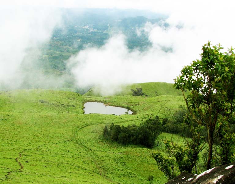 Wayanad